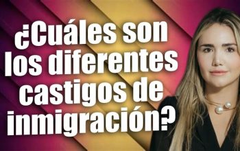 ¿Cuáles son los diferentes castigos de inmigración?